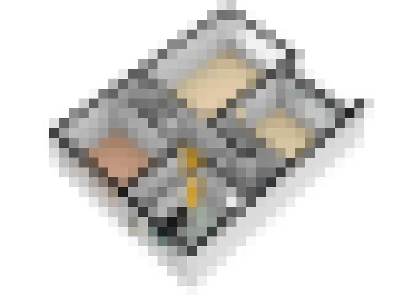 Zwin 13 Assen thumbnail 22