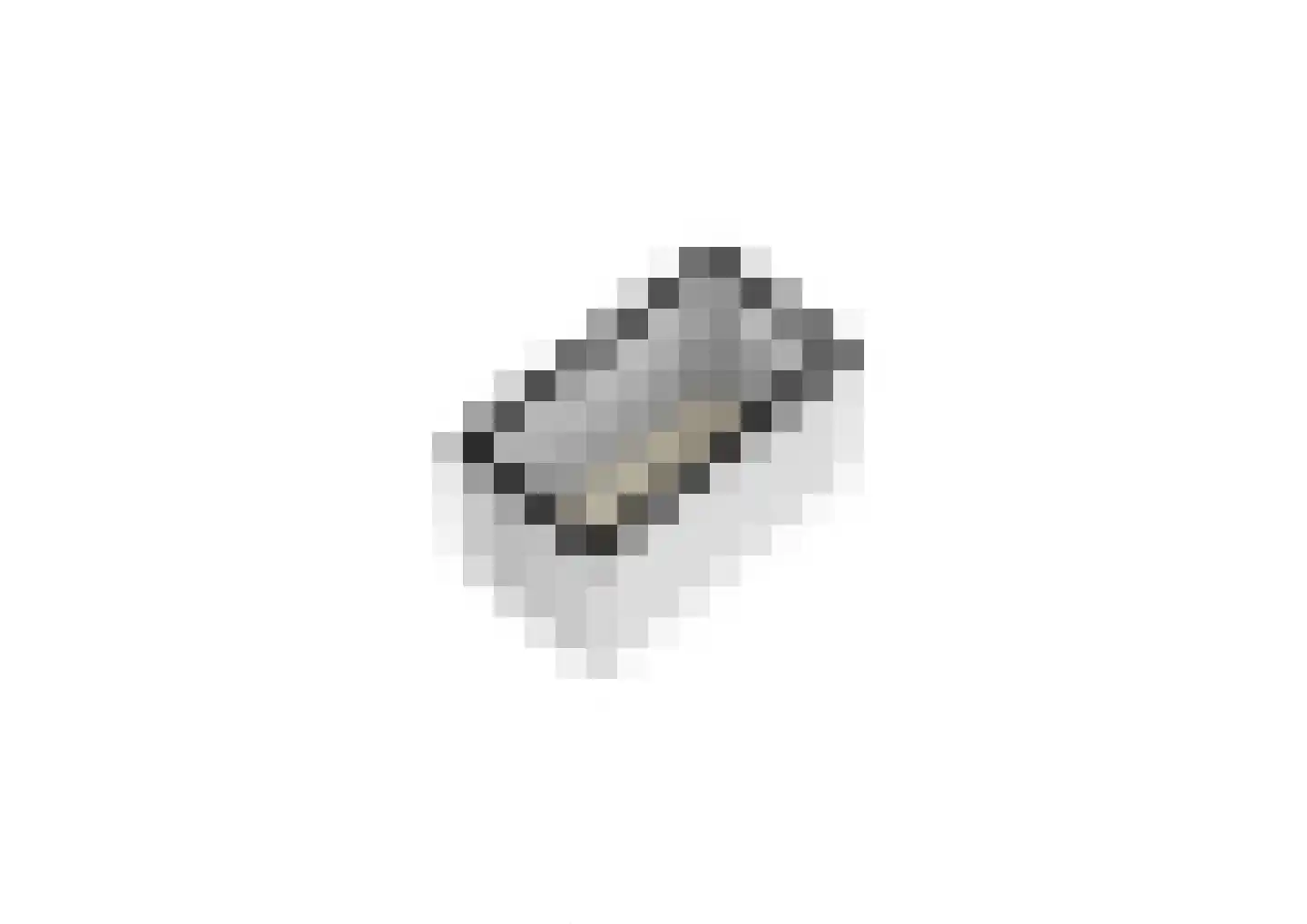 Zwin 13 Assen thumbnail 24