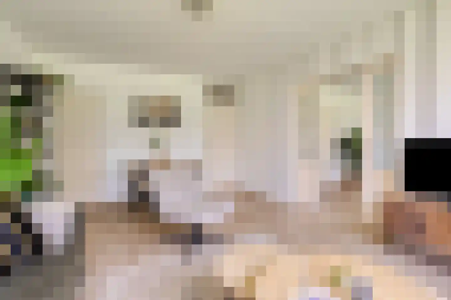 Zwin 23 Assen thumbnail 10