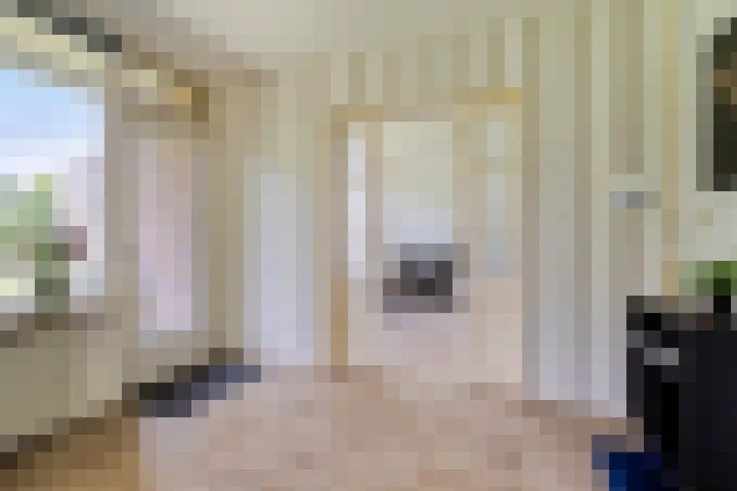 Zwin 23 Assen thumbnail 13