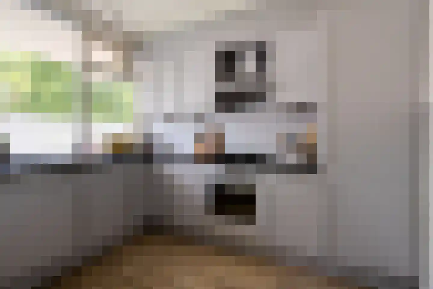 Zwin 23 Assen thumbnail 17
