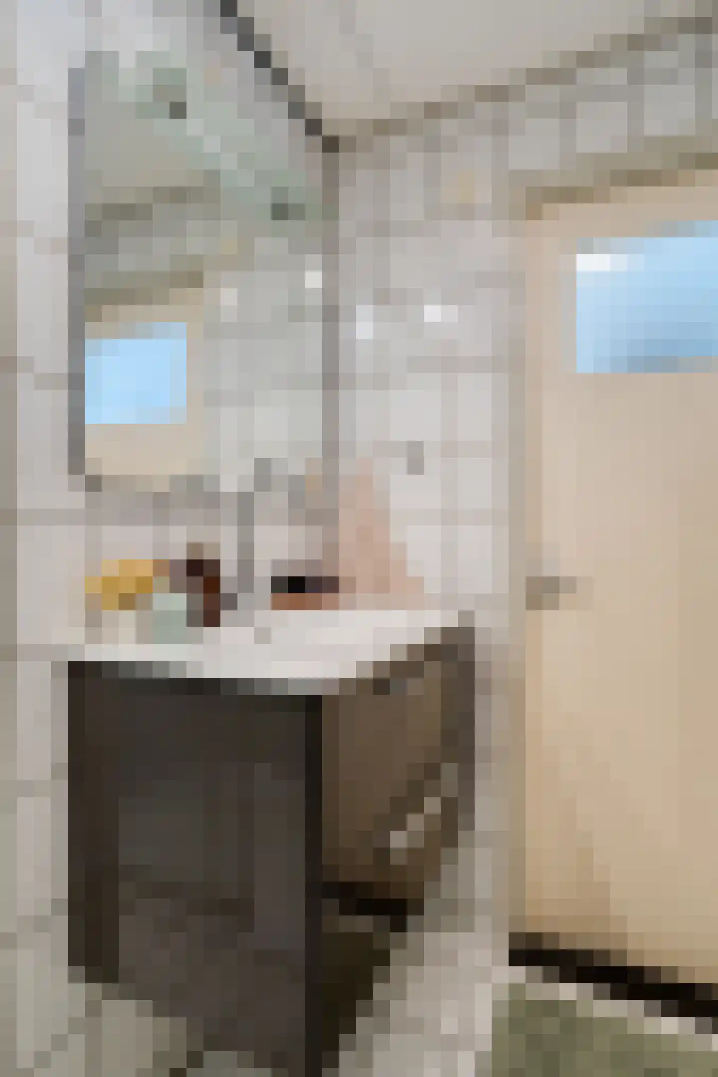 Zwin 23 Assen thumbnail 25