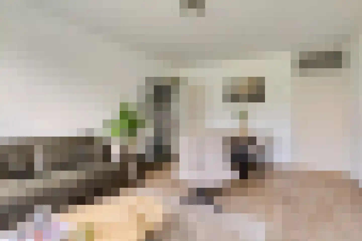Zwin 23 Assen thumbnail 8