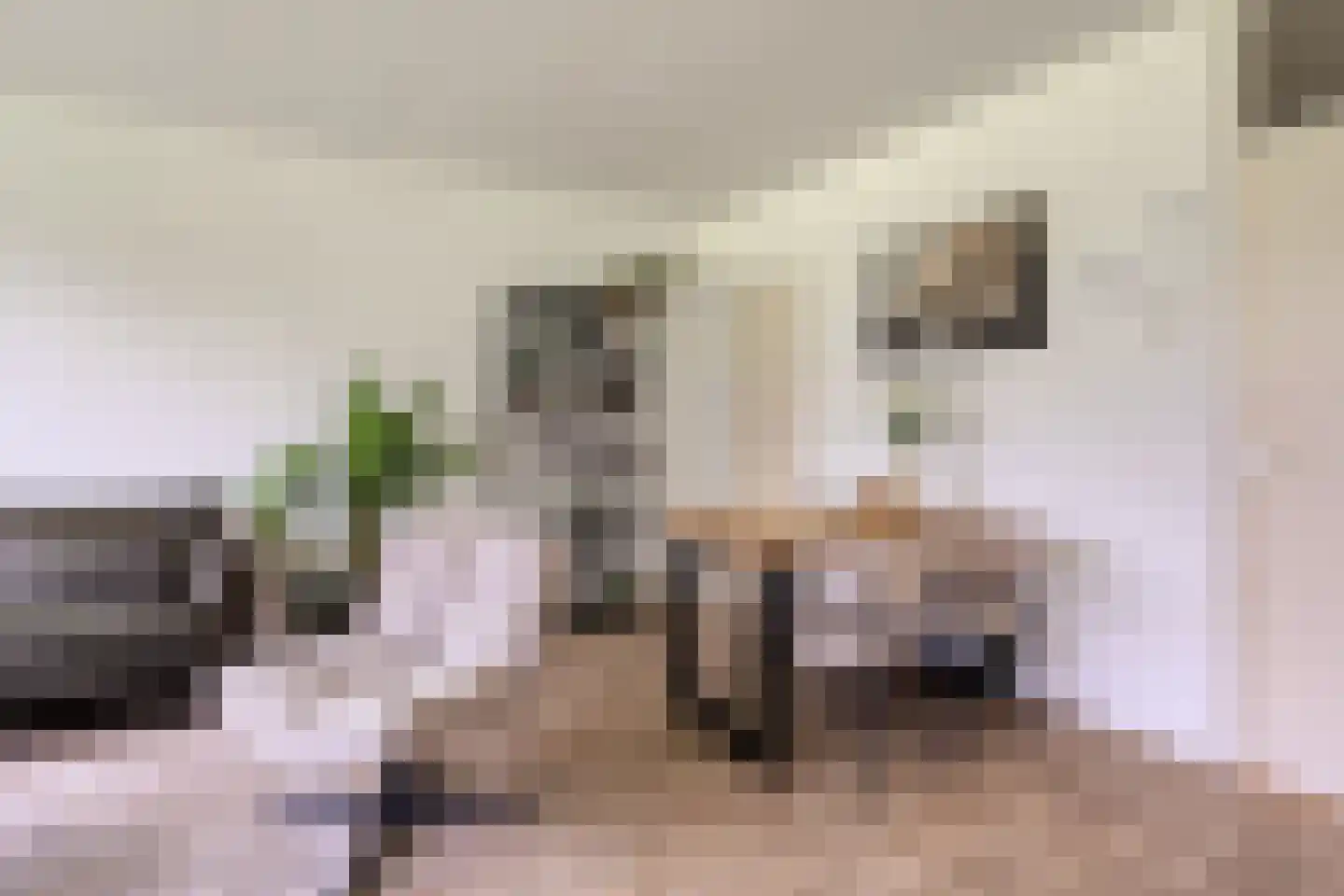 Zwin 23 Assen thumbnail 9