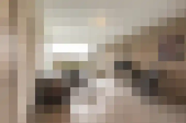 Zwin 3 Assen thumbnail 15