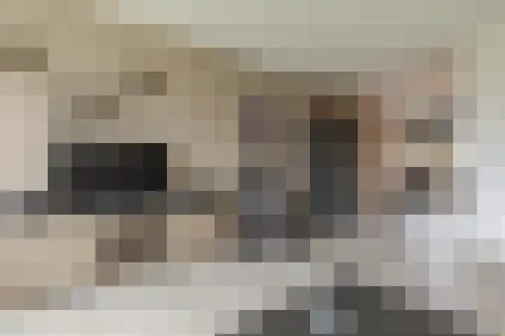 Zwin 3 Assen thumbnail 17