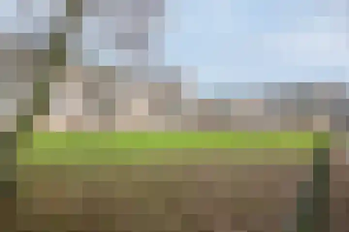 Zwin 3 Assen thumbnail 37