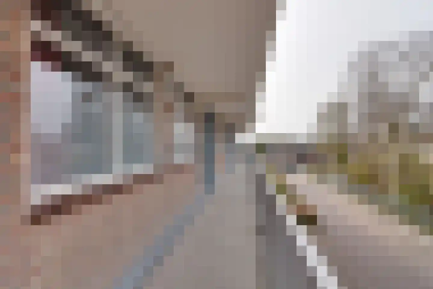 Zwin 39 Assen thumbnail 17