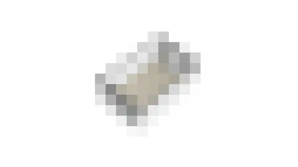 Zwin 39 Assen thumbnail 31