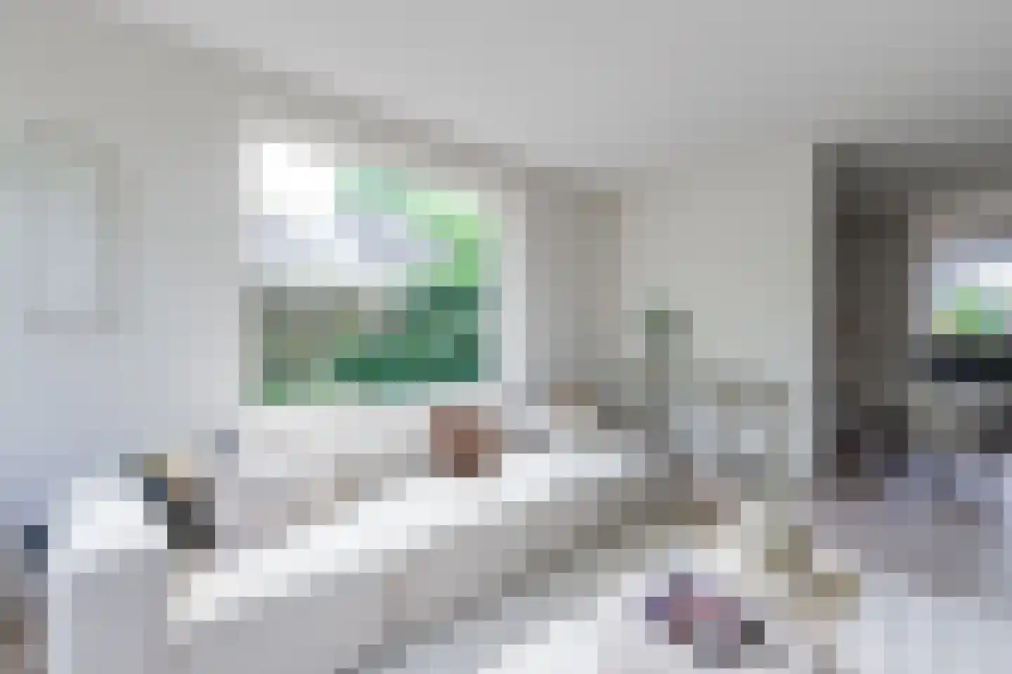 Zwin 5 Bergen (NH) thumbnail 13