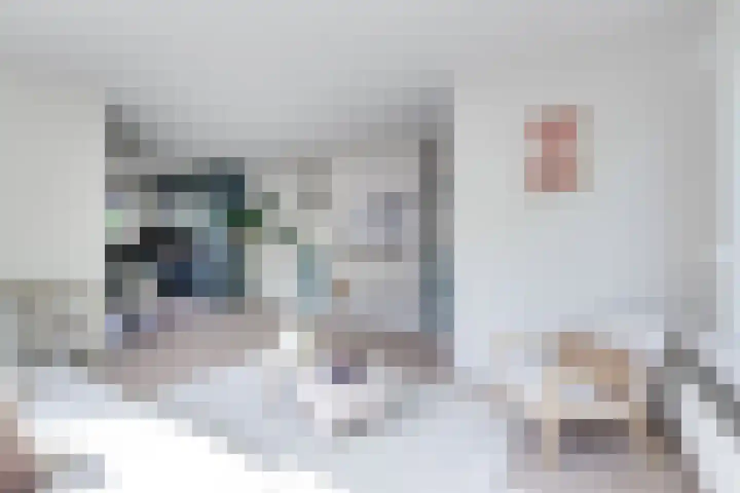 Zwin 5 Bergen (NH) thumbnail 16