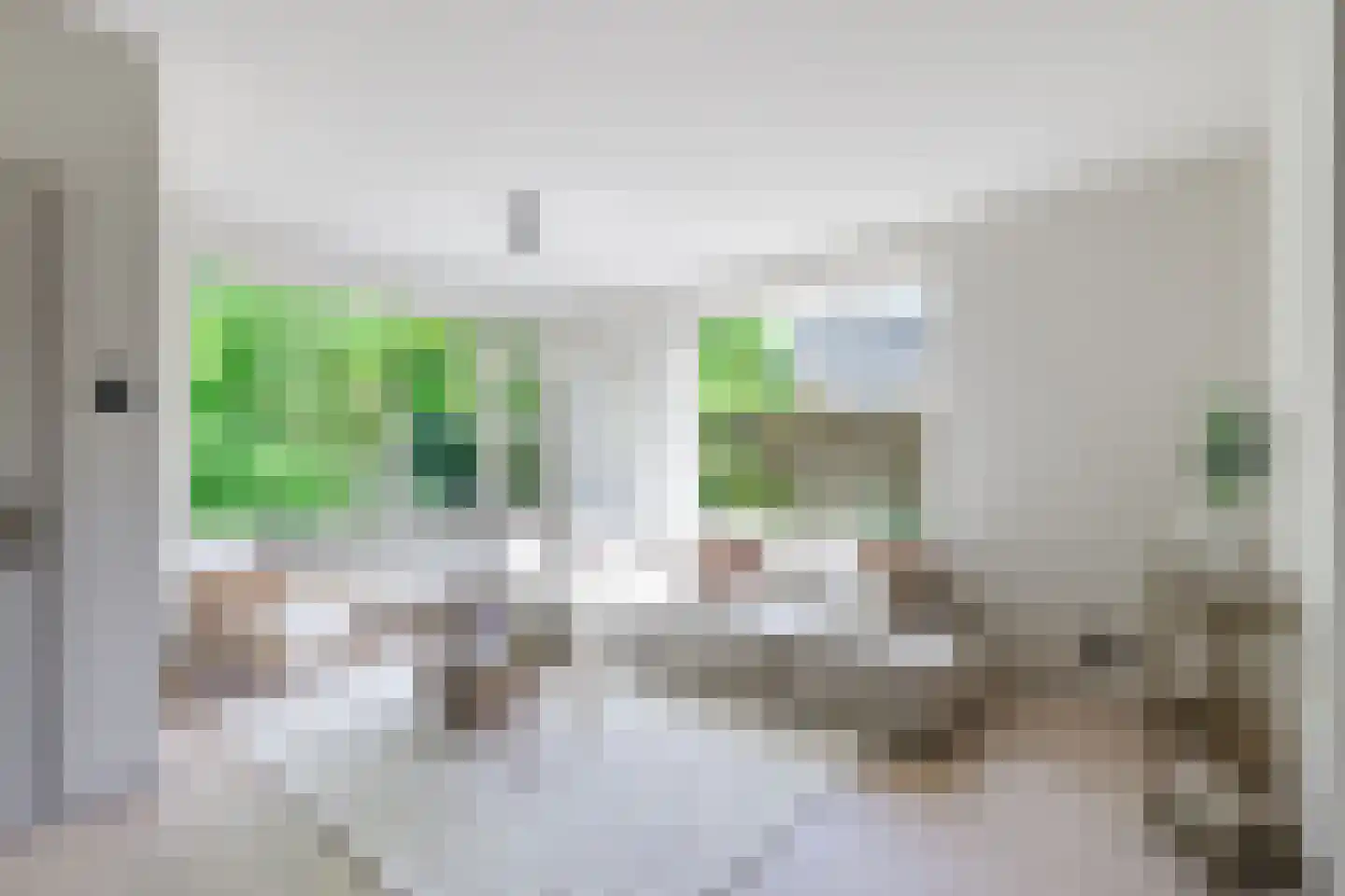 Zwin 5 Bergen (NH) thumbnail 24