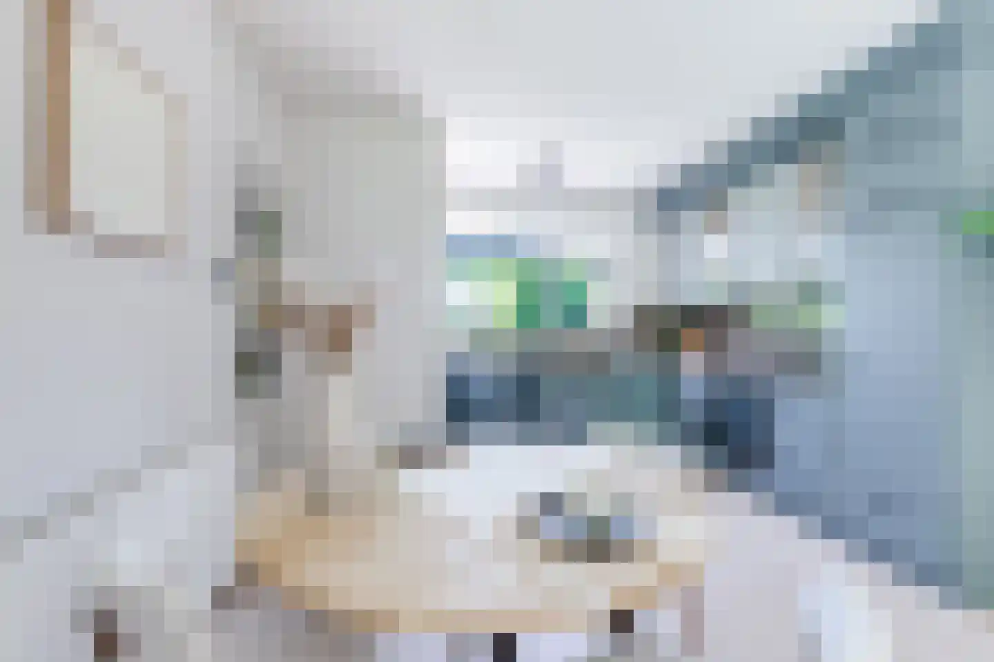 Zwin 5 Bergen (NH) thumbnail 25