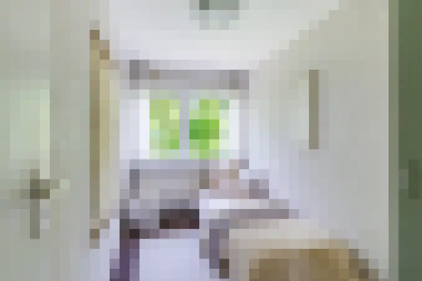 Zwin 5 Bergen (NH) thumbnail 36
