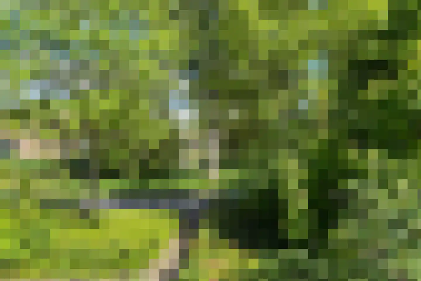 Zwin 5 Bergen (NH) thumbnail 39