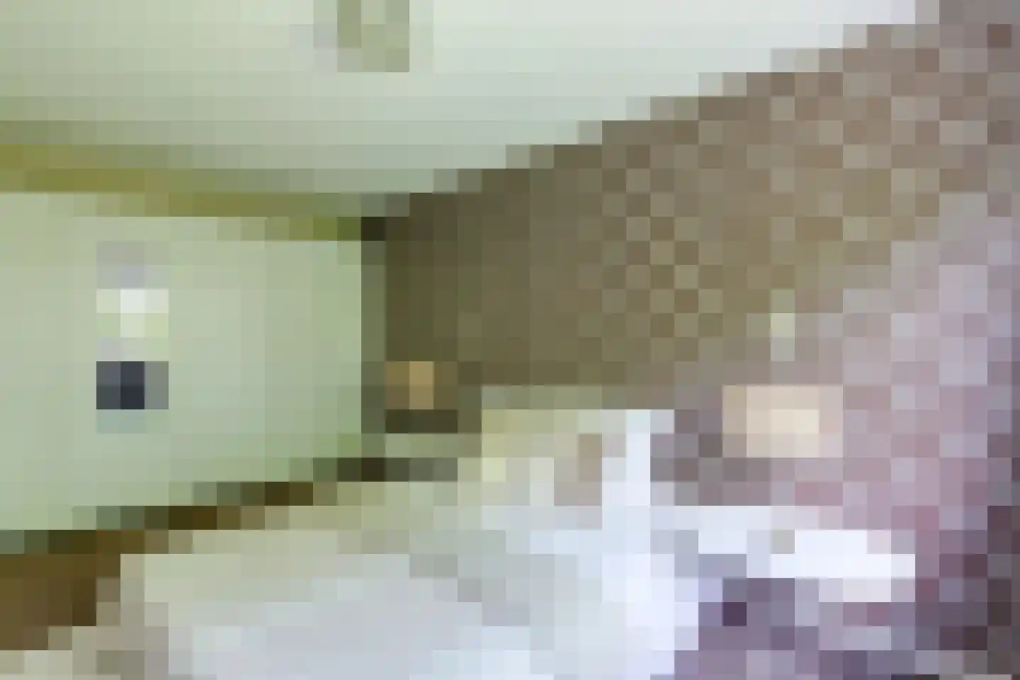 Zwin 5 Bergen (NH) thumbnail 43