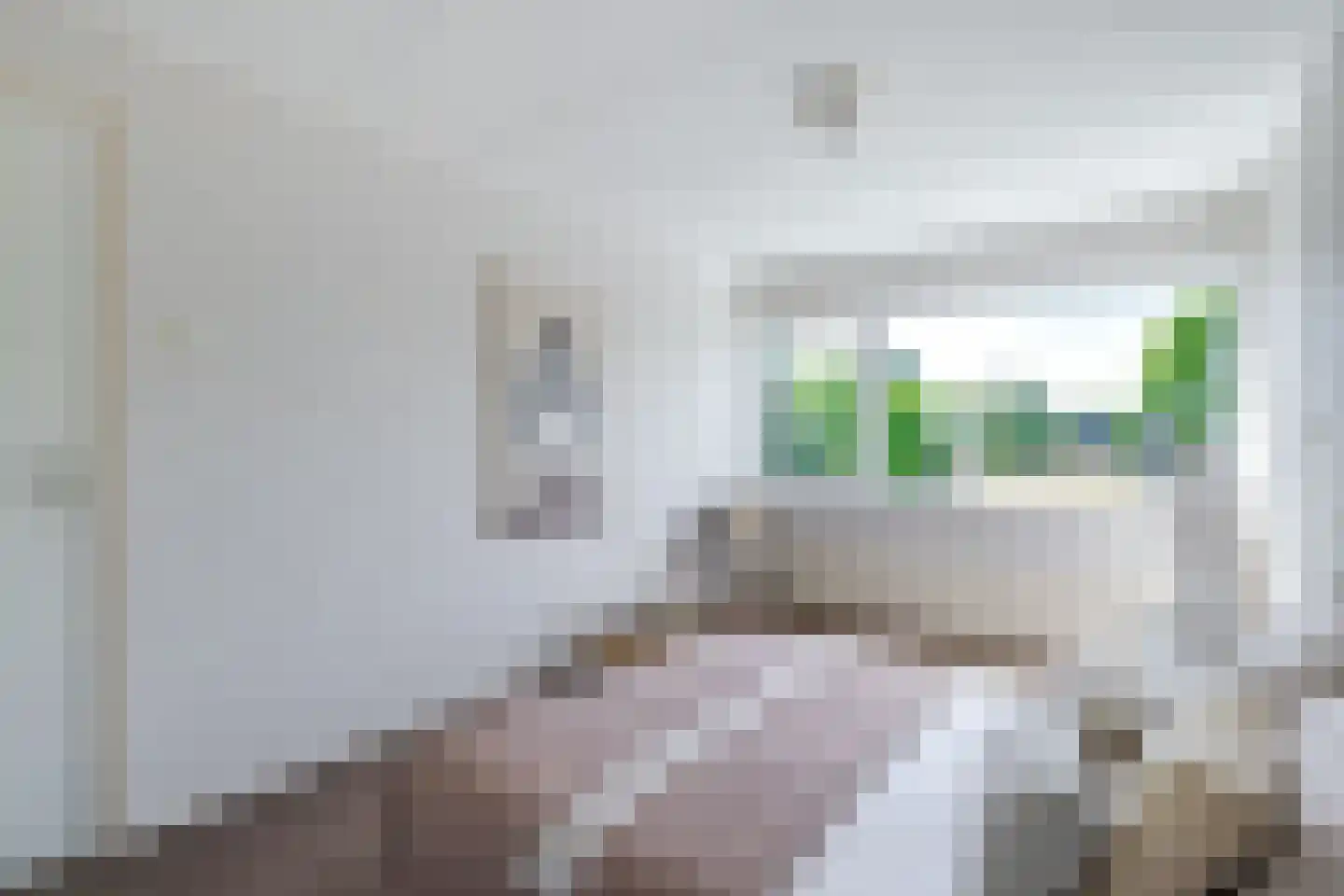Zwin 5 Bergen (NH) thumbnail 48