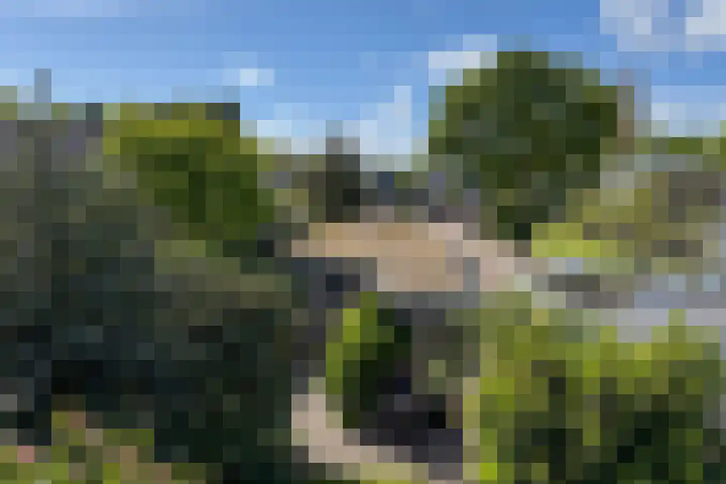 Zwin 5 Bergen (NH) thumbnail 49
