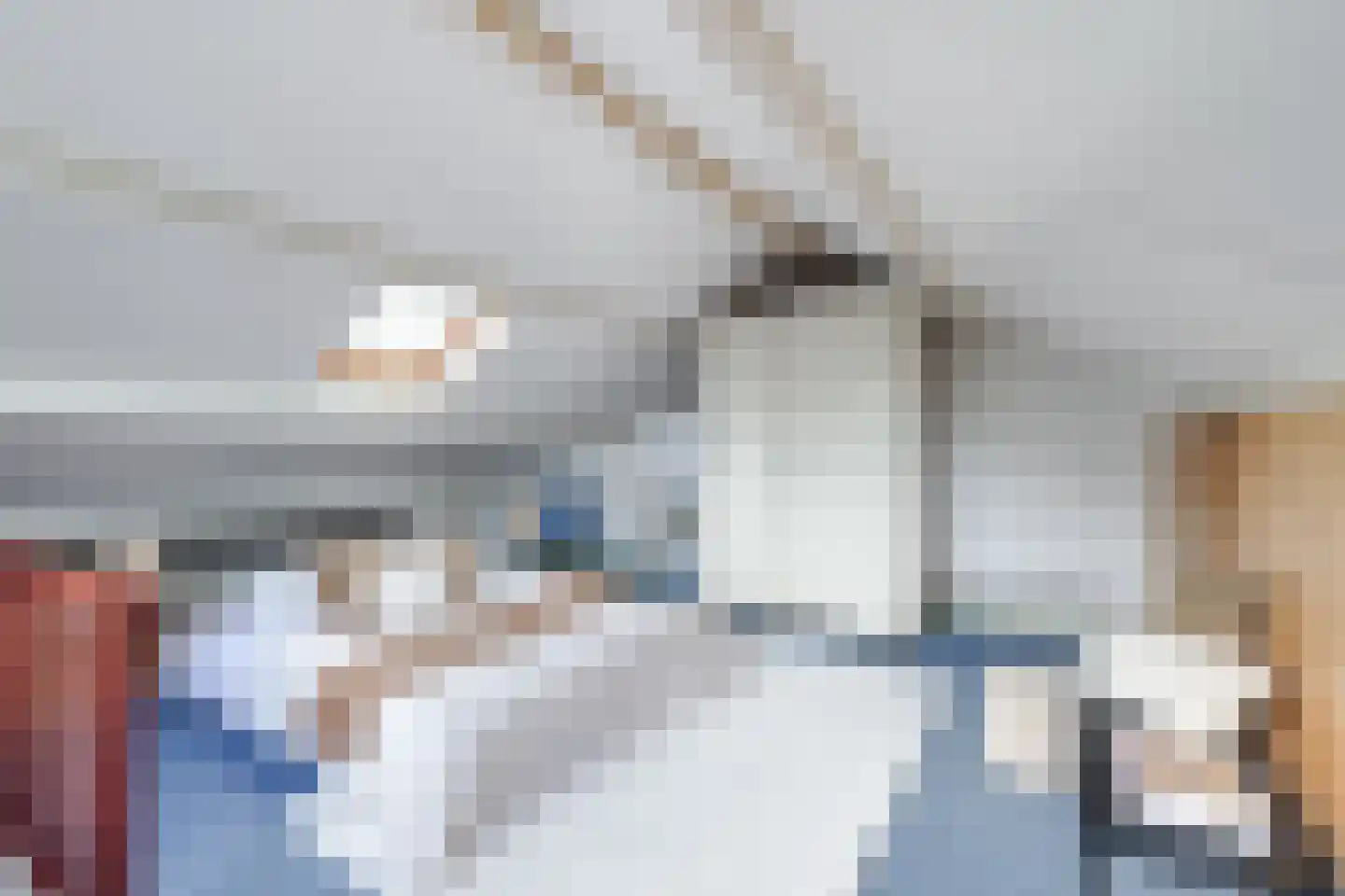 Zwin 5 Bergen (NH) thumbnail 56