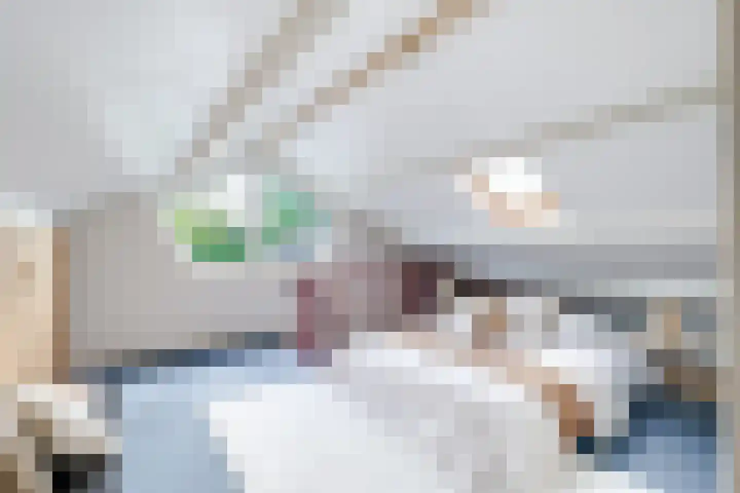 Zwin 5 Bergen (NH) thumbnail 57