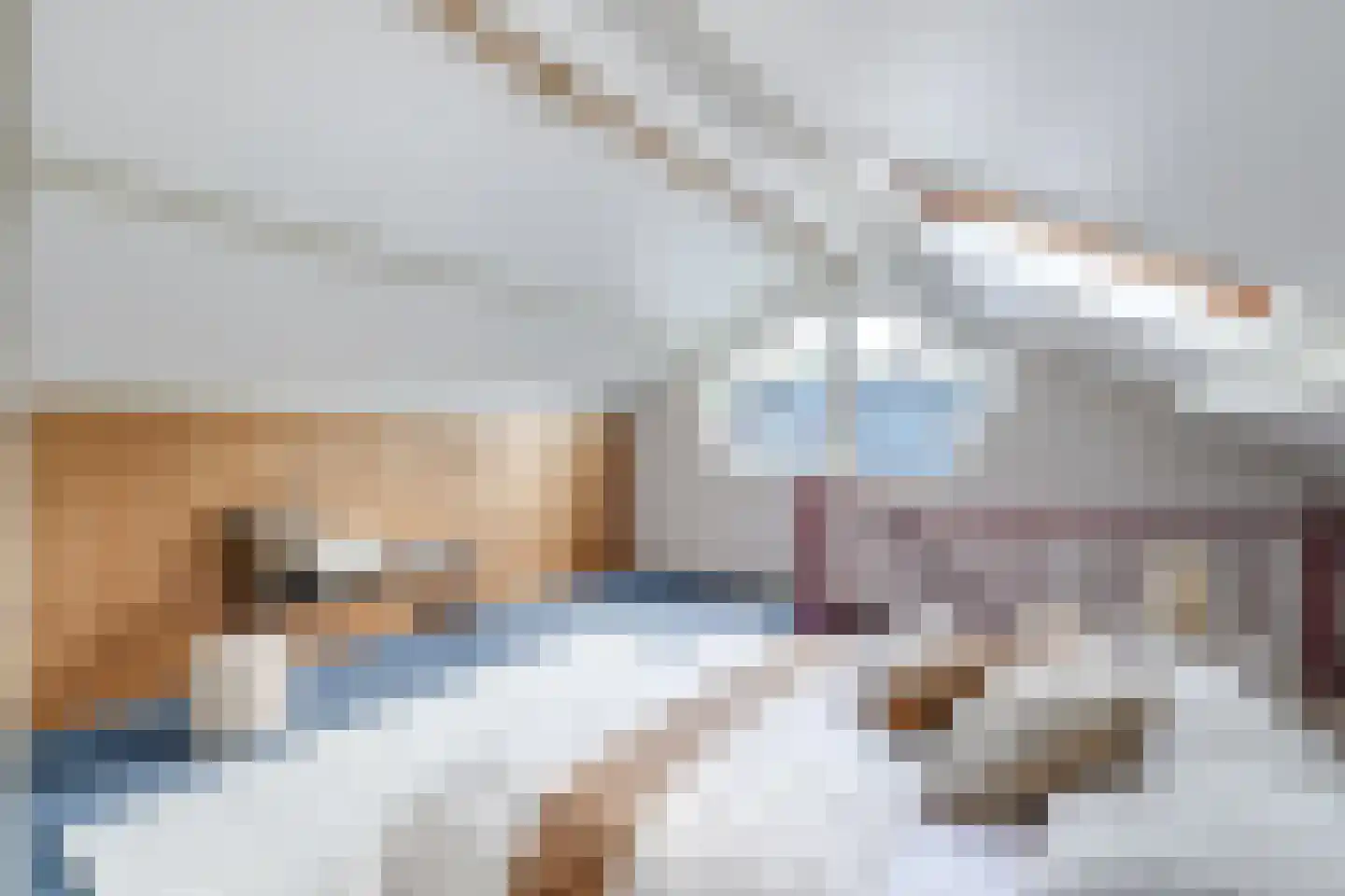 Zwin 5 Bergen (NH) thumbnail 58