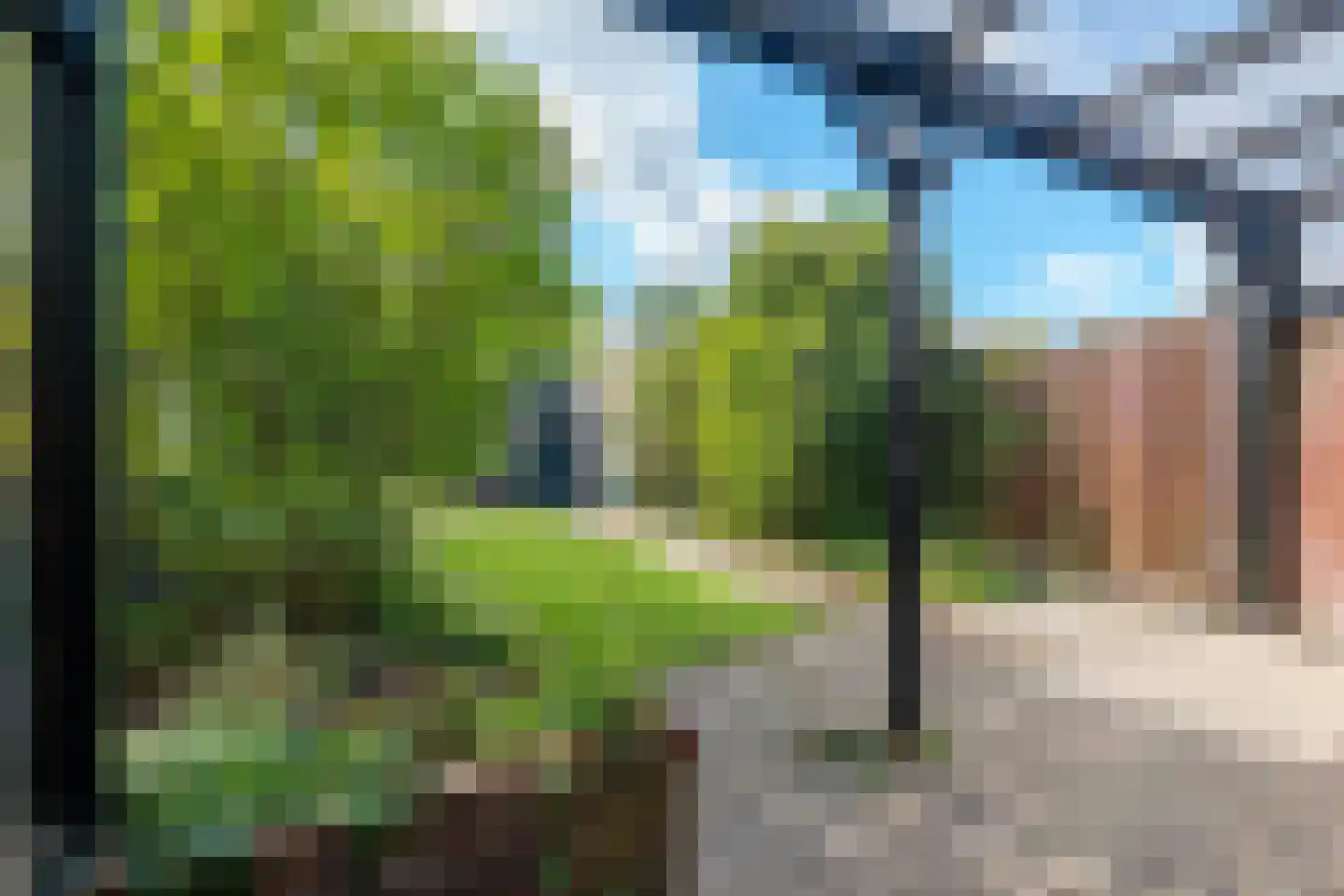 Zwin 5 Bergen (NH) thumbnail 61