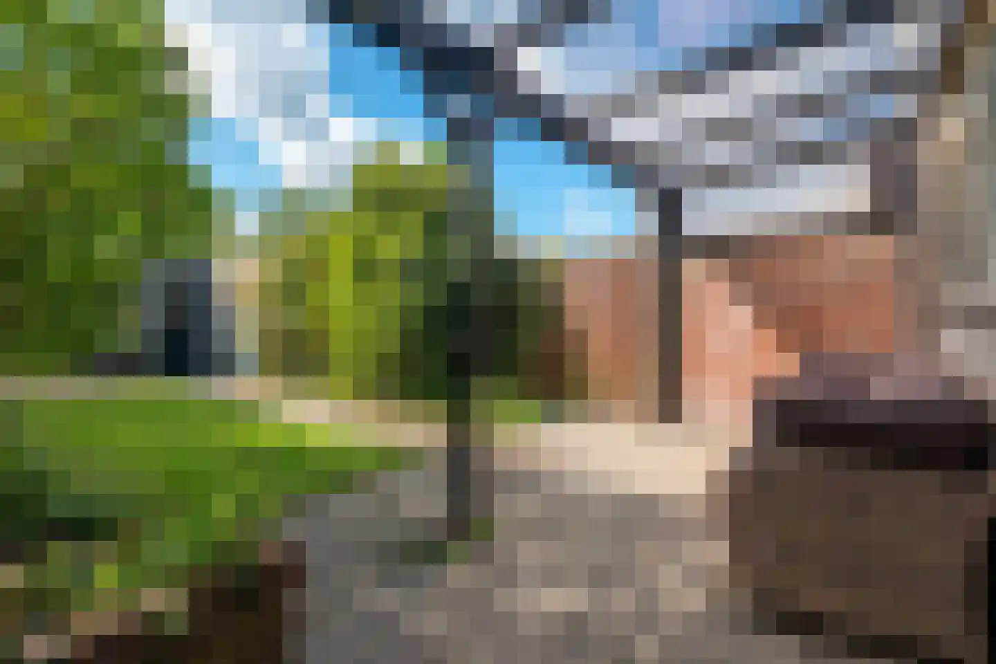 Zwin 5 Bergen (NH) thumbnail 62