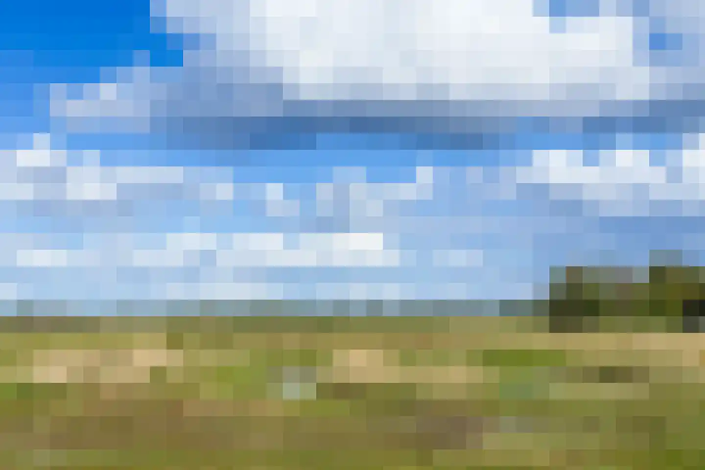 Zwin 5 Bergen (NH) thumbnail 71