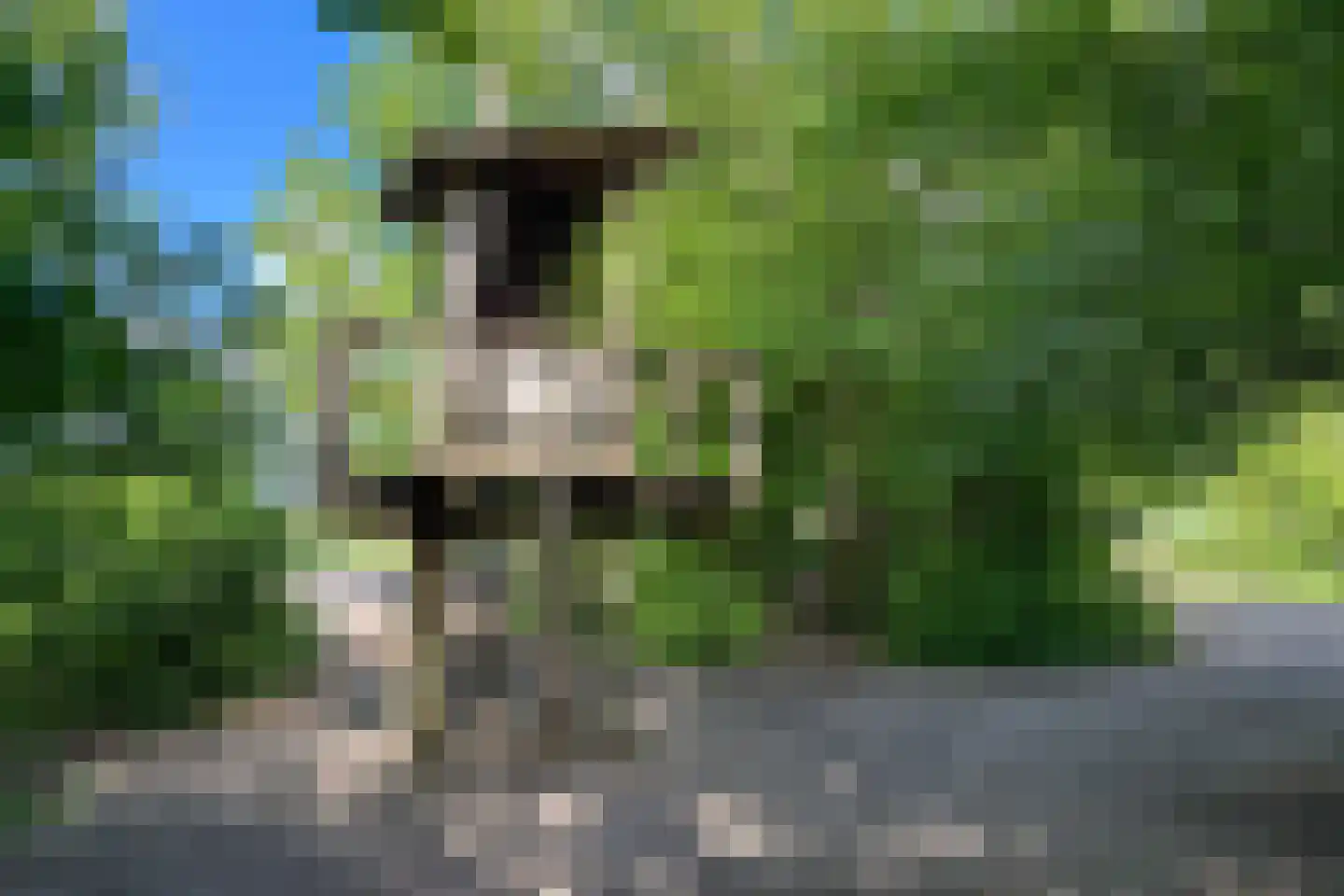 Zwin 5 Bergen (NH) thumbnail 73