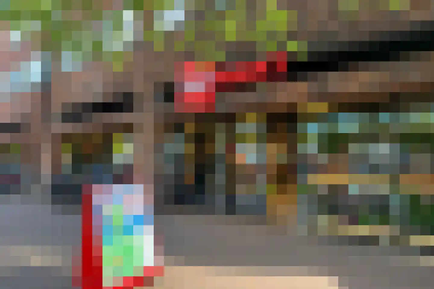 Zwin 5 Bergen (NH) thumbnail 74