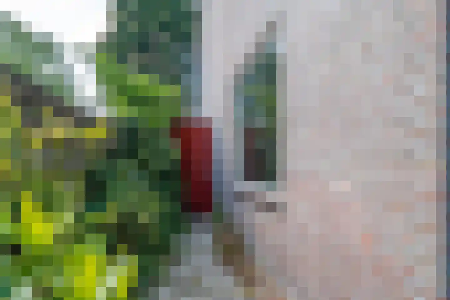 Zwin 5 Bergen (NH) thumbnail 8