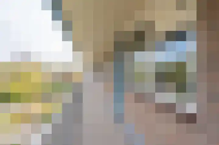 Zwin 73 Assen thumbnail 10