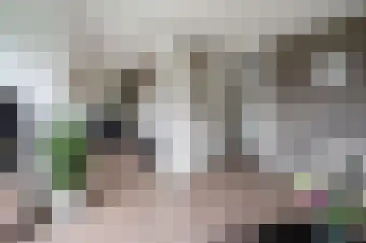 Zwin 73 Assen thumbnail 16