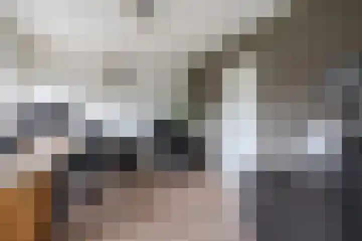 Zwin 73 Assen thumbnail 19