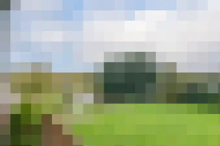 Zwin 73 Assen thumbnail 26