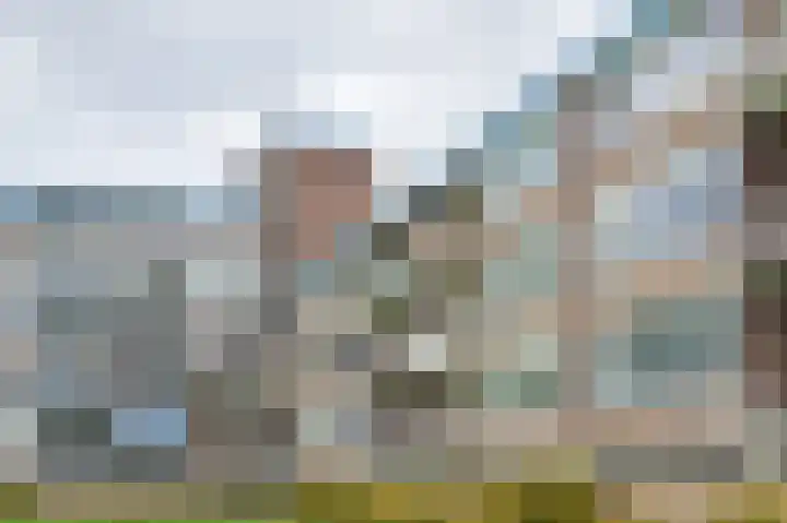Zwin 73 Assen thumbnail 43