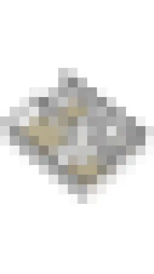 Zwin 73 Assen thumbnail 49
