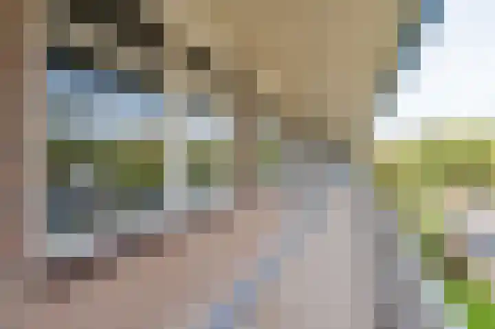Zwin 73 Assen thumbnail 8