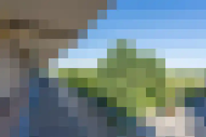 Zwin 79 Assen thumbnail 14