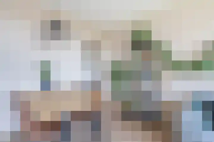 Zwin 79 Assen thumbnail 19
