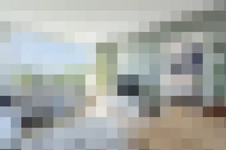 Zwin 79 Assen thumbnail 21