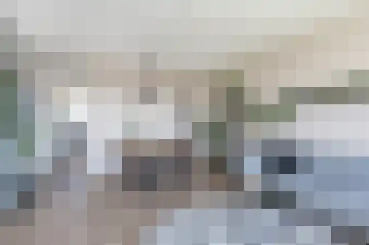 Zwin 79 Assen thumbnail 22
