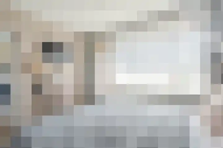 Zwin 79 Assen thumbnail 27