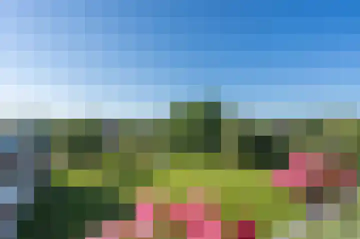Zwin 79 Assen thumbnail 31