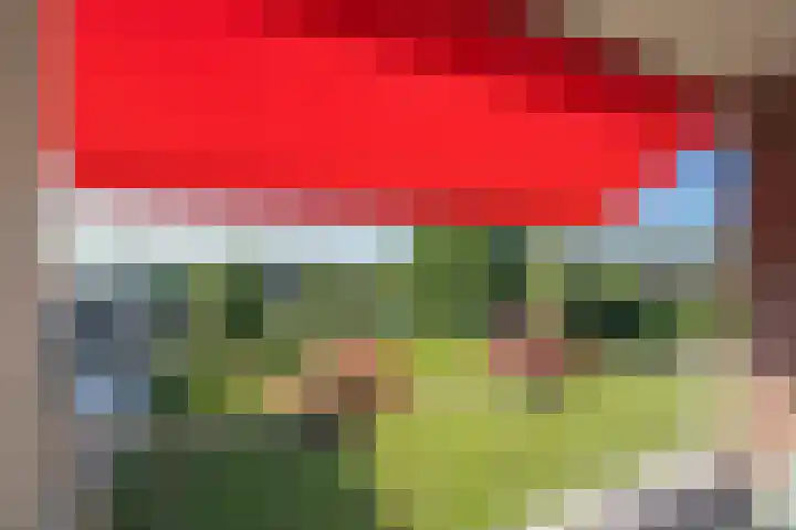 Zwin 79 Assen thumbnail 32
