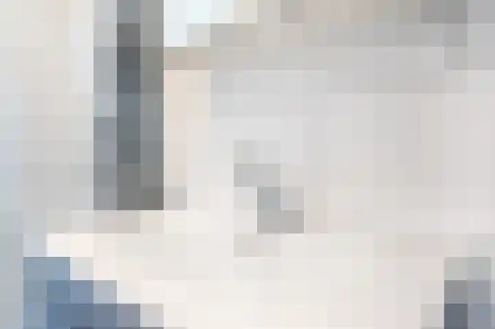 Zwin 79 Assen thumbnail 35