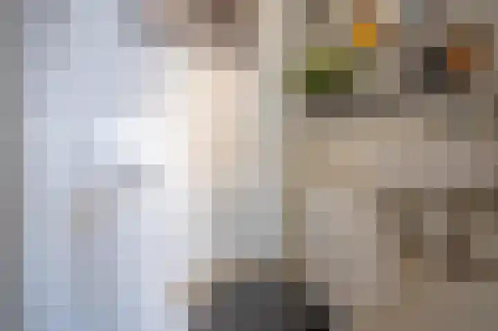 Zwin 79 Assen thumbnail 38