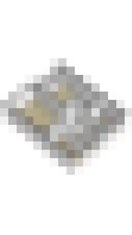 Zwin 79 Assen thumbnail 45