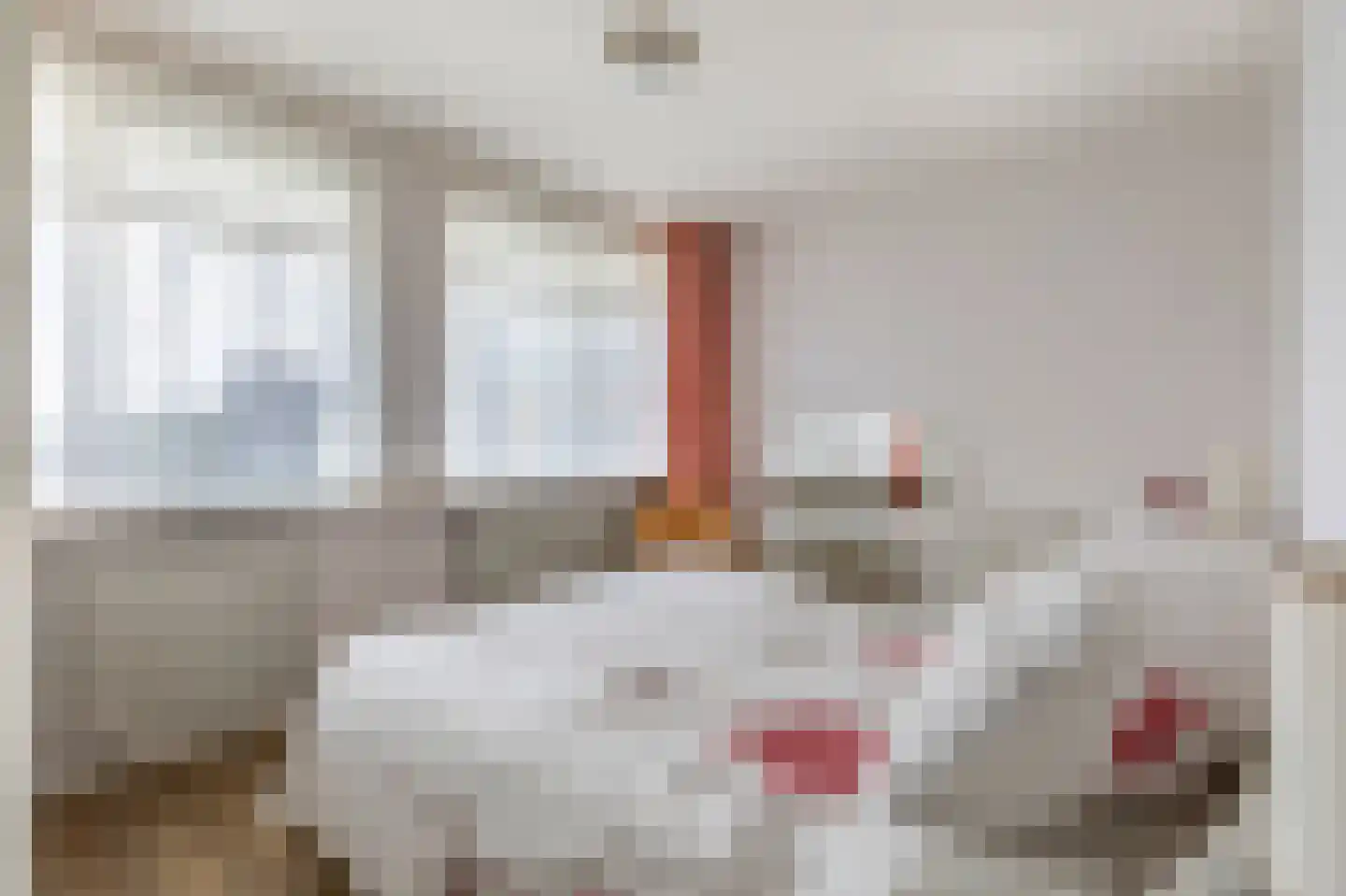 Zwin 83 Assen thumbnail 22