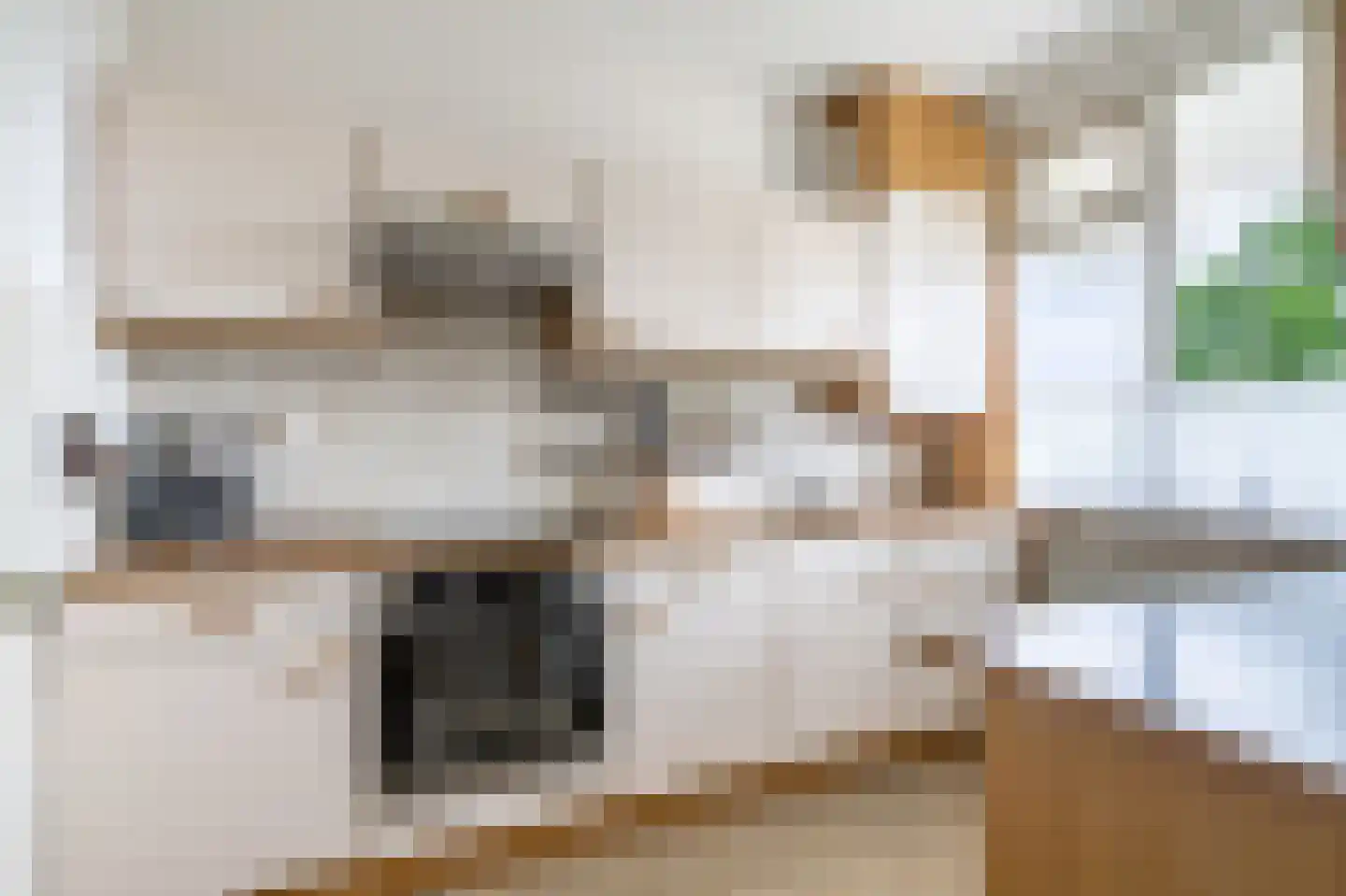 Zwin 83 Assen thumbnail 4